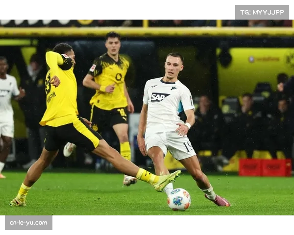 霍芬海姆2-2遭科隆逼平，争冠格局微调落后多特蒙德5分